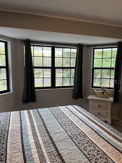 10245 SW 105th St, Ocala, FL 34481 - bedroom featuring crown molding and baseboards
