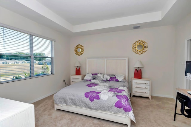 carpeted bedroom featuring a tray ceiling