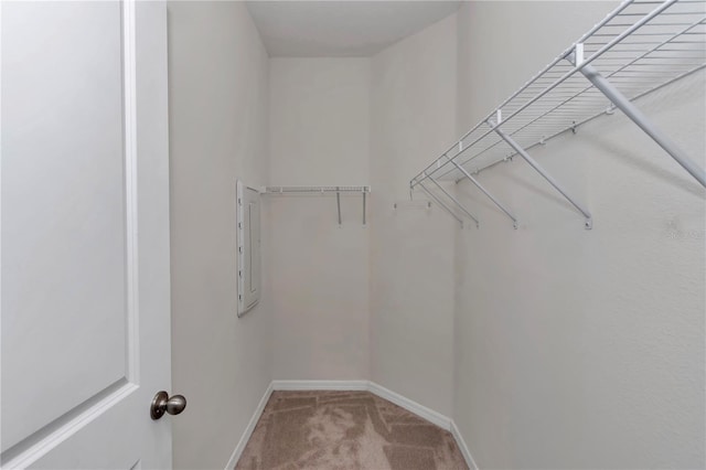 spacious closet with carpet floors and electric panel