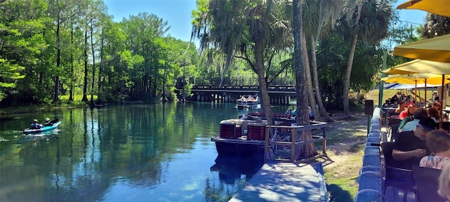 dock area with a water view