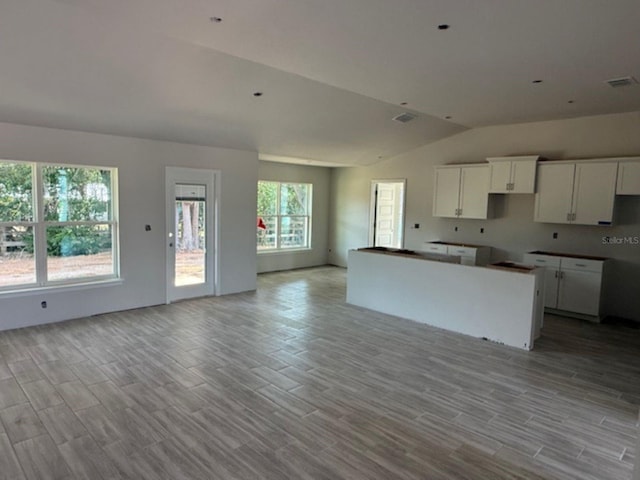 13 NW 45th Loop, Ocala, FL 34475 - kitchen featuring lofted ceiling, open floor plan, a center island, plenty of natural light, and light wood-type flooring