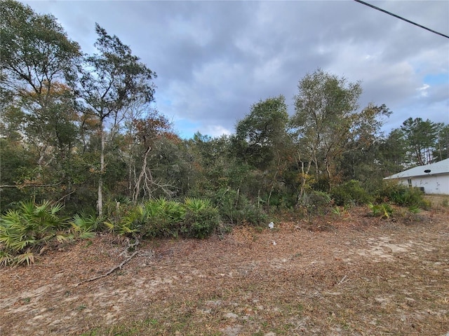 Listing photo 2 for 00 SW 35th Cir, Ocala FL 34473