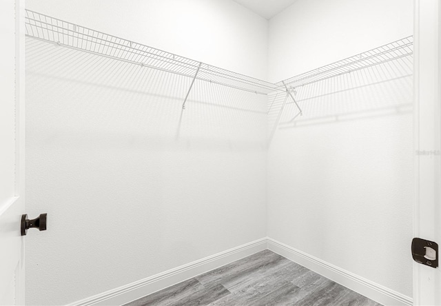 walk in closet with hardwood / wood-style floors