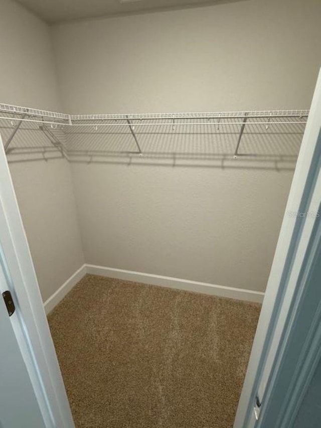 7 NW 45th Loop, Ocala, FL 34470 - walk in closet with carpet flooring