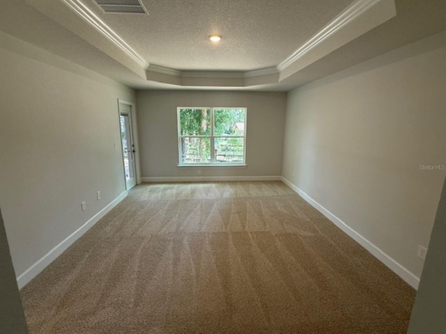 7 NW 45th Loop, Ocala, FL 34470 - empty room featuring crown molding, a raised ceiling, a textured ceiling, light colored carpet, and baseboards