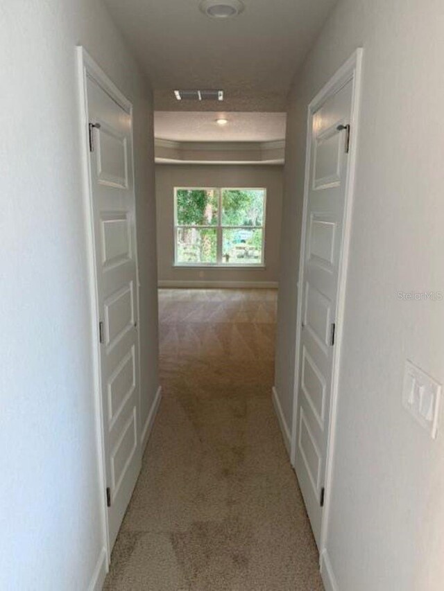 7 NW 45th Loop, Ocala, FL 34470 - hall with carpet floors and baseboards