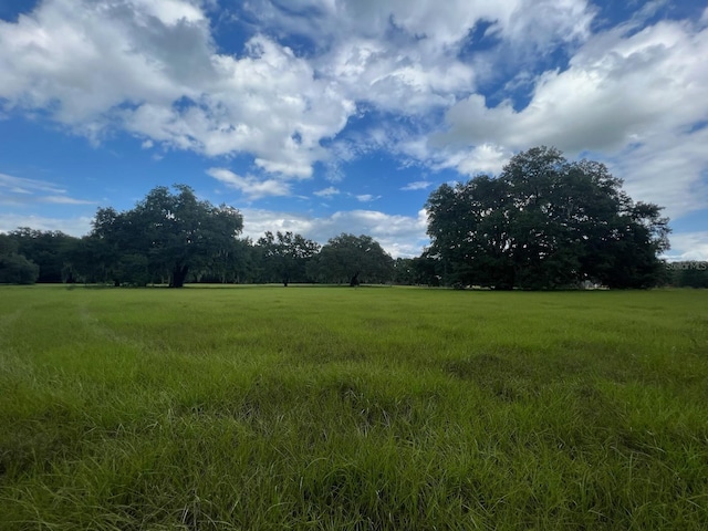 4160 NE 127th Pl, Anthony FL, 32617 land for sale