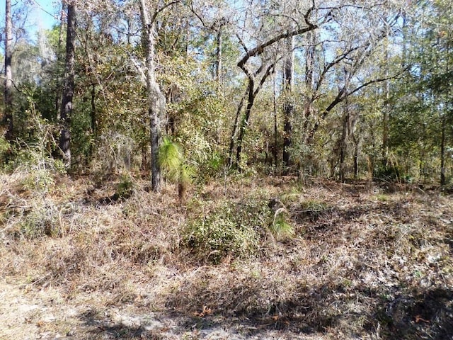 Listing photo 3 for LOT2 SW 215th Ave, Dunnellon FL 34431