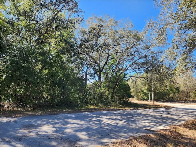 2988 W Sun Pl, Citrus Springs FL, 34433 land for sale