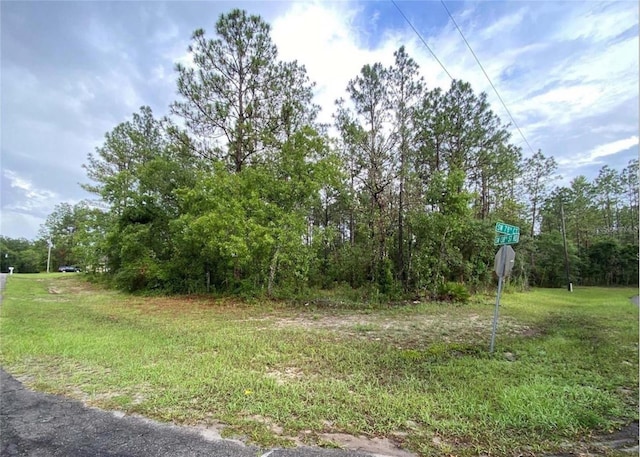 SW 138th Street Rd, Ocala FL, 34473 land for sale