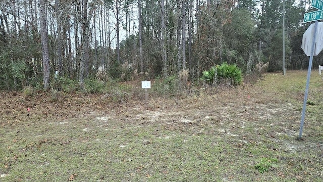 Listing photo 3 for SW 138th Street Rd, Ocala FL 34473