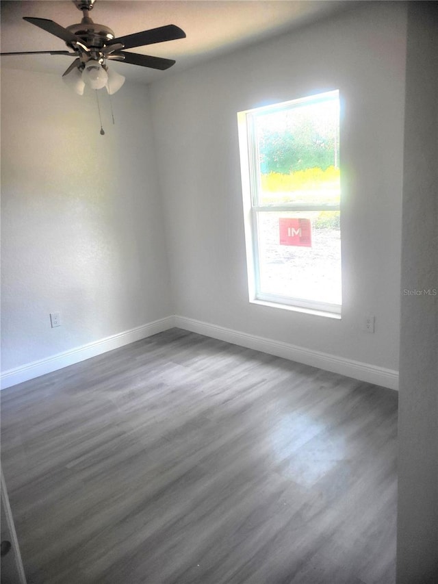 71 NE 155th Ct, Williston, FL 32696 - photo 5