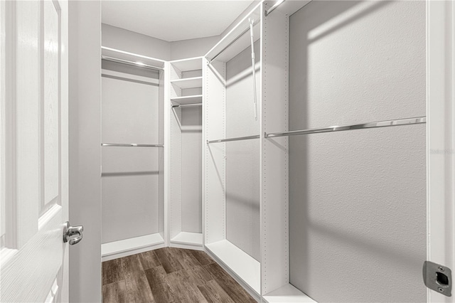 walk in closet with dark wood-type flooring