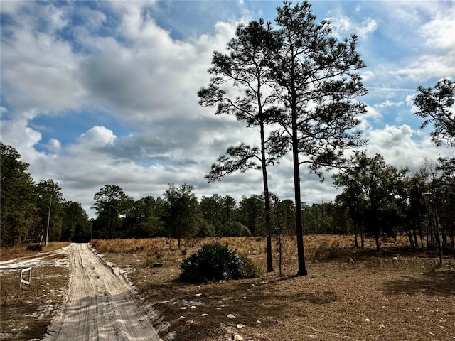 SW 93rd Pl, Dunnellon FL, 34432 land for sale