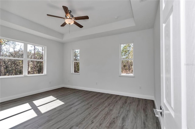 spare room featuring a raised ceiling, a wealth of natural light, and dark hardwood / wood-style flooring