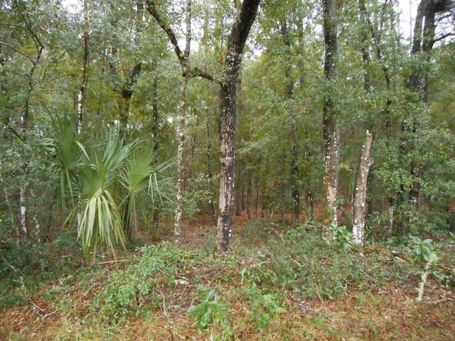 LOT6 SW 97th Pl, Dunnellon FL, 34431 land for sale