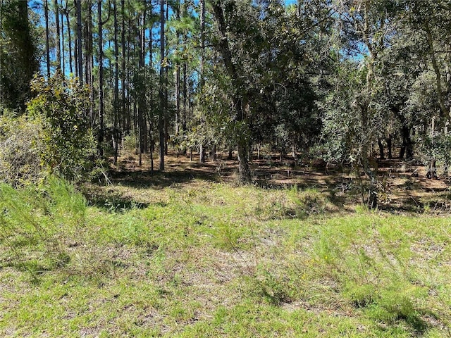 00 SE 134th Ter, Dunnellon FL, 34431 land for sale