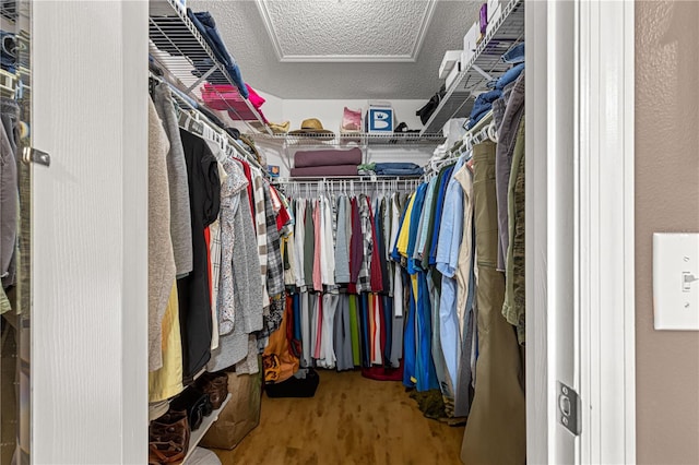 walk in closet featuring wood-type flooring