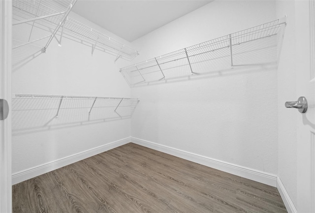 walk in closet with wood-type flooring