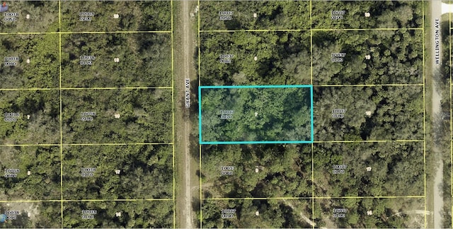 1510 Grant Ave, Lehigh Acres FL, 33972 land for sale