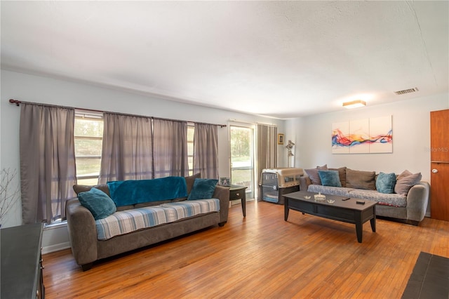 living room with wood-type flooring