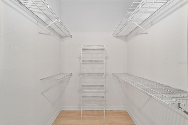 spacious closet with wood-type flooring