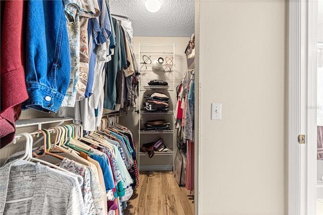 spacious closet with light wood-type flooring