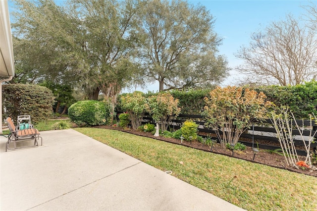 view of yard featuring a patio