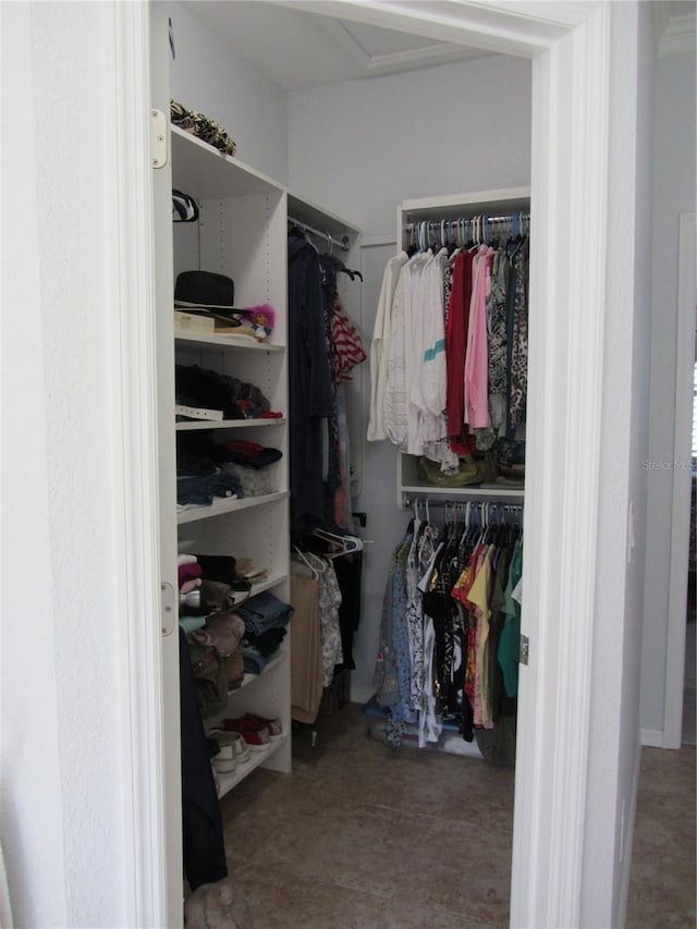 view of spacious closet