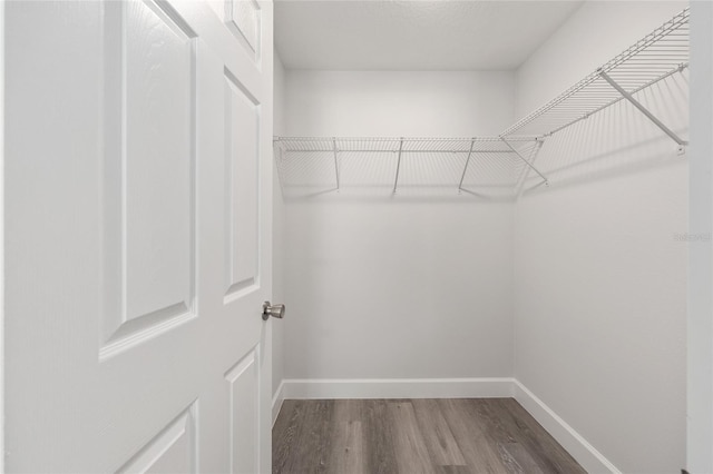 walk in closet featuring wood finished floors