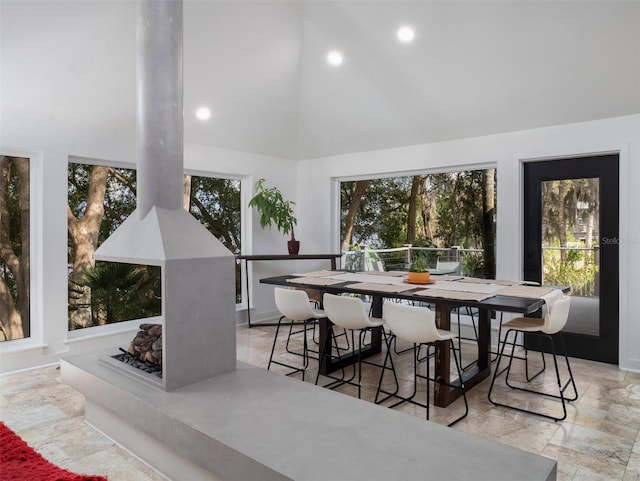 dining room featuring high vaulted ceiling