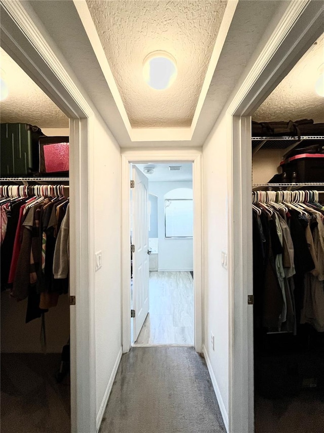 hallway featuring carpet and a textured ceiling