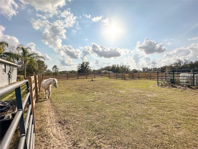 view of yard with a rural view