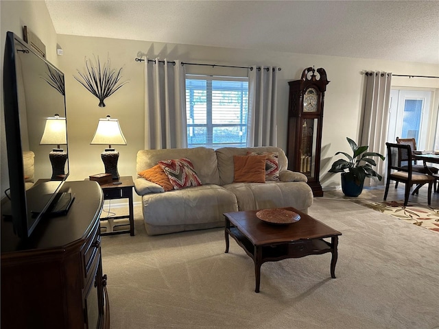 carpeted living room featuring a textured ceiling