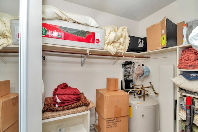 storage room with gas water heater