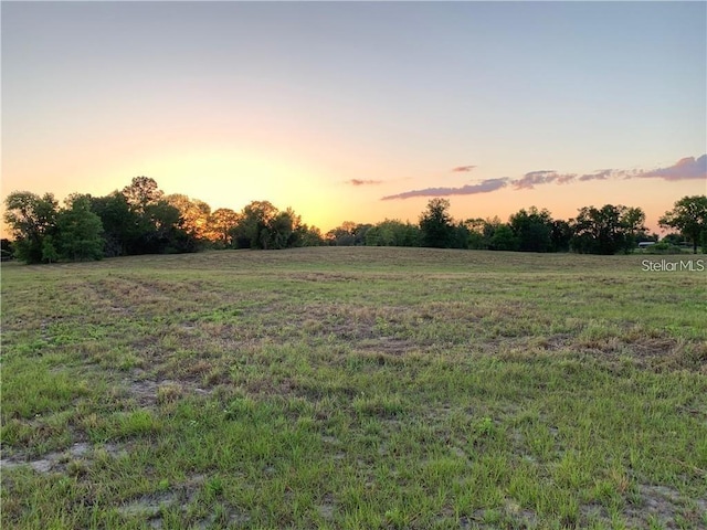 TBD NW 165th Court Rd, Dunnellon FL, 34432 land for sale