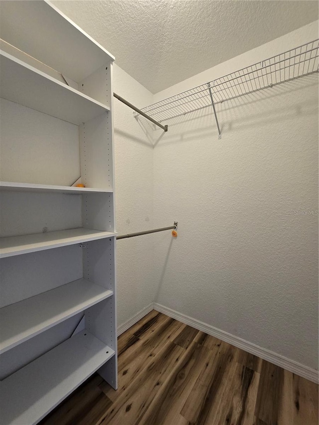 spacious closet featuring dark hardwood / wood-style flooring