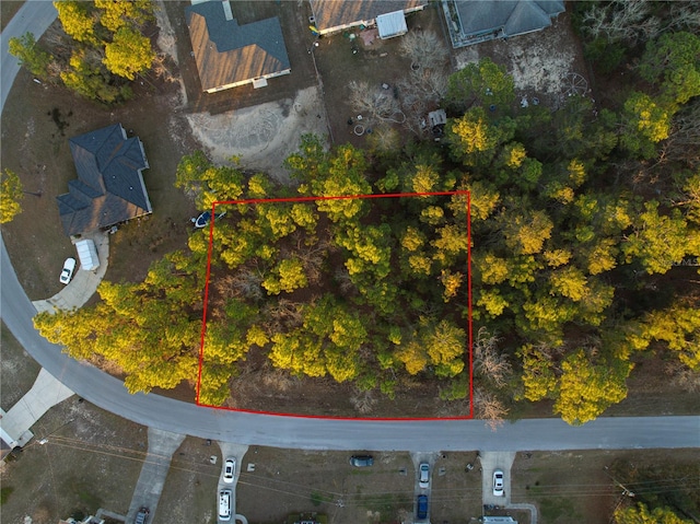 TBD Bahia Trace Loop, Ocala FL, 34472 land for sale