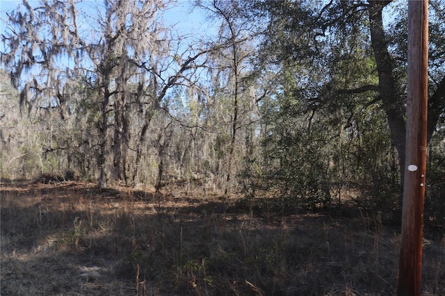 00 SE 125th Ct, Dunnellon FL, 34431 land for sale