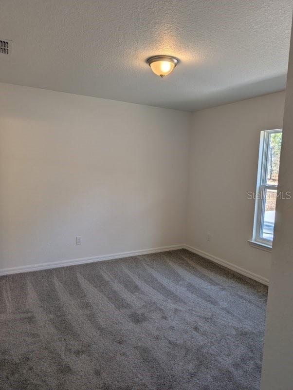 carpeted spare room with a textured ceiling