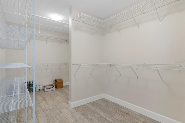 walk in closet featuring wood finished floors