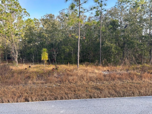 TBD SW Ancher Blvd, Dunnellon FL, 34431 land for sale