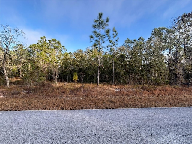 Listing photo 3 for TBD SW Ancher Blvd, Dunnellon FL 34431