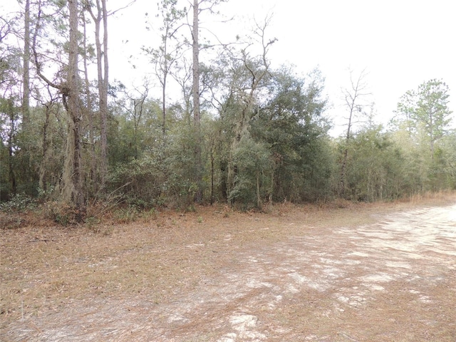 11350 NE 73rd Ln, Bronson FL, 32621 land for sale