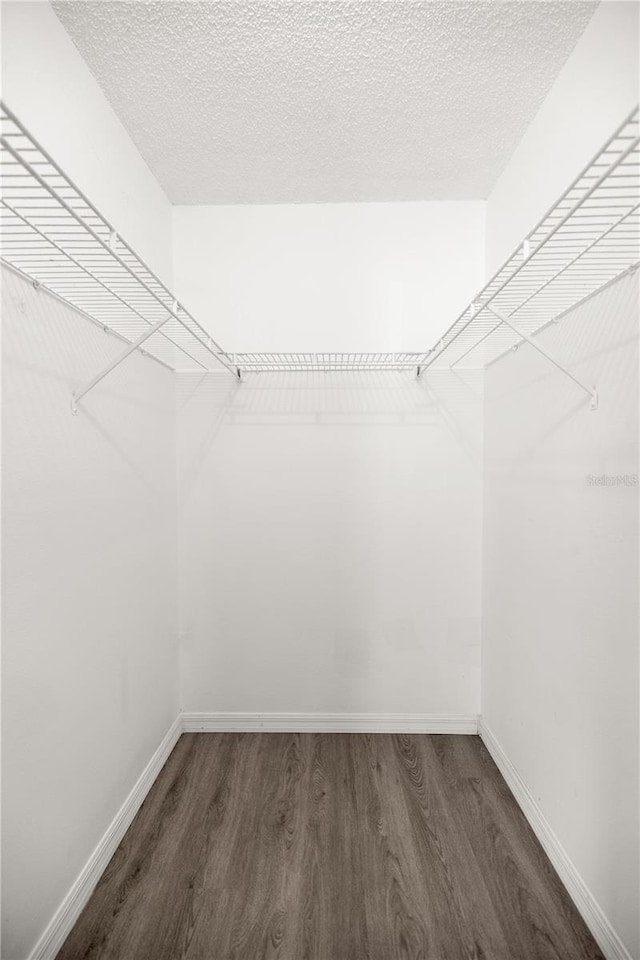 walk in closet featuring dark hardwood / wood-style floors