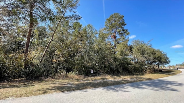 SW 38th Ave, Ocala FL, 34476 land for sale