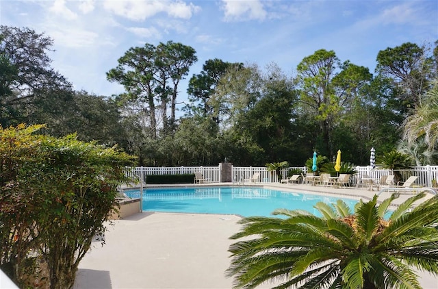 view of pool featuring a patio