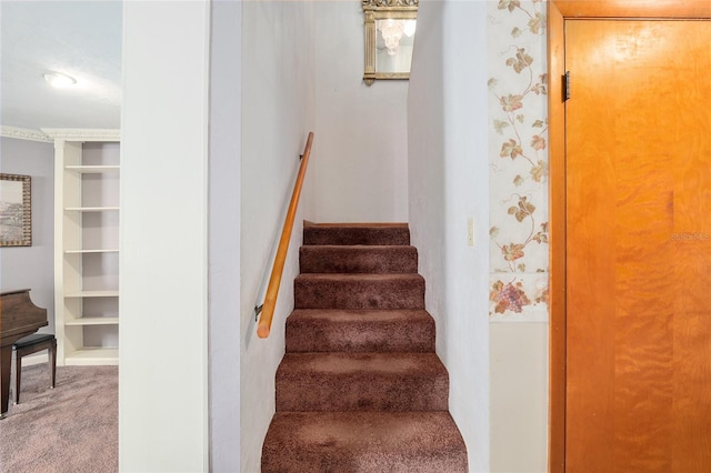 stairs with carpet