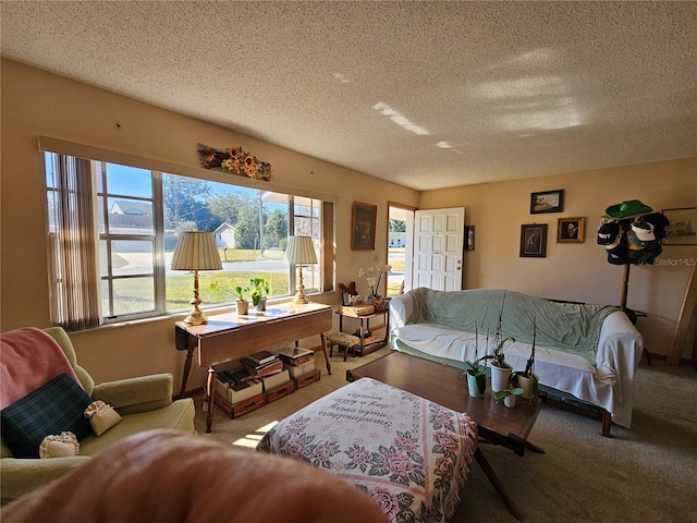 living room with carpet and a textured ceiling