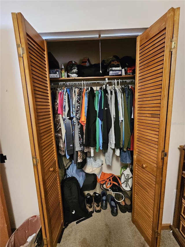 view of closet